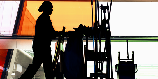Cleaning Services